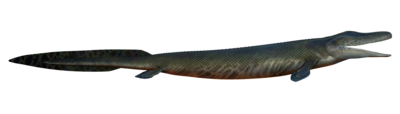 Thumbnail for File:Tiktaalik restoration (side view) by ObsidianSoul 02 flipped.png