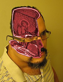 MRI self portrait by Tomas Diaz