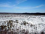 Torronsuo National Park.jpg