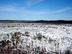 Parc national de Torronsuo.jpg