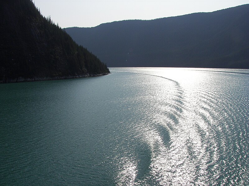 File:Tracy Arm coast 17.jpg