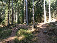 Trail next to the Große Bode 02.jpg 78893918 6 564 20190601074158