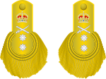 UK-Royal Navy OF-8-Vice Admiral 1864.svg