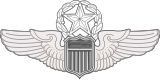 USAF Command Pilot Wings.svg