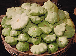 USDA petit pan squash.jpg