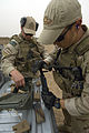 Các hạ sĩ quan của Hải quân Hoa Kỳ đang nạp đạn cho băng đạn STANAG bằng các công cụ nạp.
