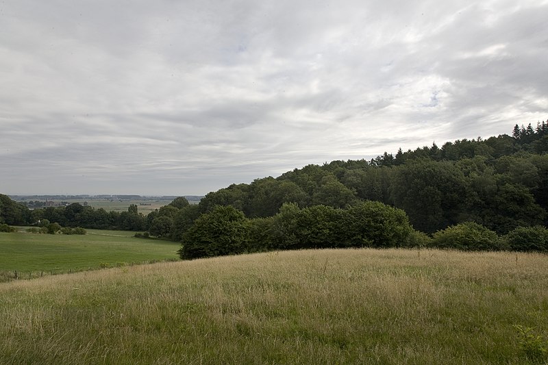 File:Uitzicht op Elyzeese Dal bij Beek - Unknown - 20537007 - RCE.jpg