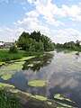 Uts River in its upstream between Vysoky Hutor and Uts village, Dobrush District, Gomel Region