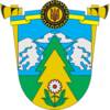 Coat of arms of Verhovinas rajons