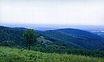 Fruška Gora mountain.
