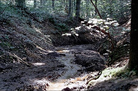 View of Ellisdale Site