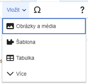 obrázky Ve Vizuálním Editoru