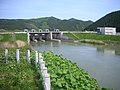 2015年5月6日 (水) 10:22時点における版のサムネイル