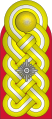 Tercer Reich Alemany Generalleutnant
