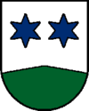 Wappen von Berg im Attergau