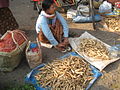 Arrels del mongetera ploma en un mercat de Mandalay, Myanmar