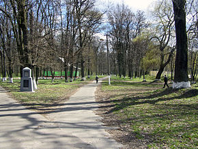 Zgurivka park1.jpg