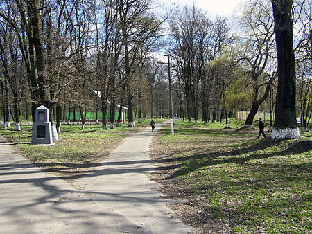 Zgurivka park1.jpg