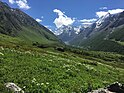 "Flowers Blossom At valley of flowers Chamoli, India" 49.jpg
