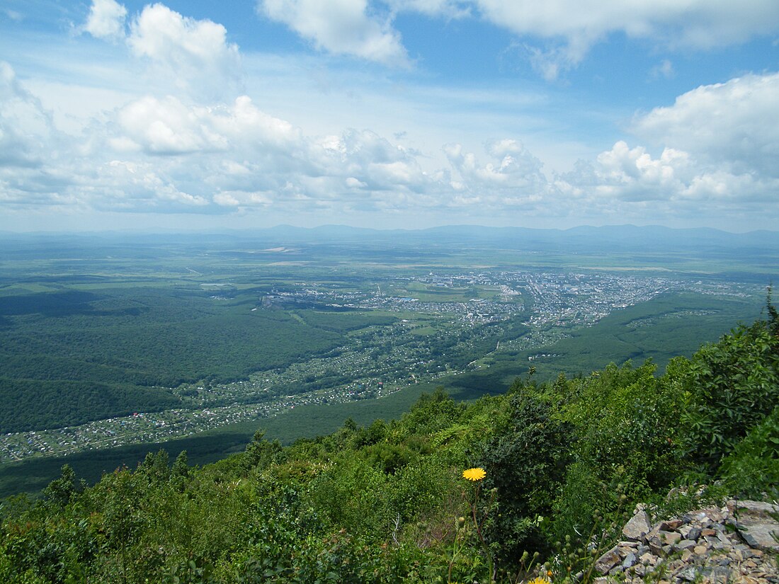 Арсеньев (сахар)