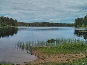 Lago en verano de 2017