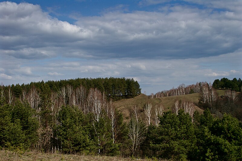 File:Радичів. Давньоруське городище.jpg