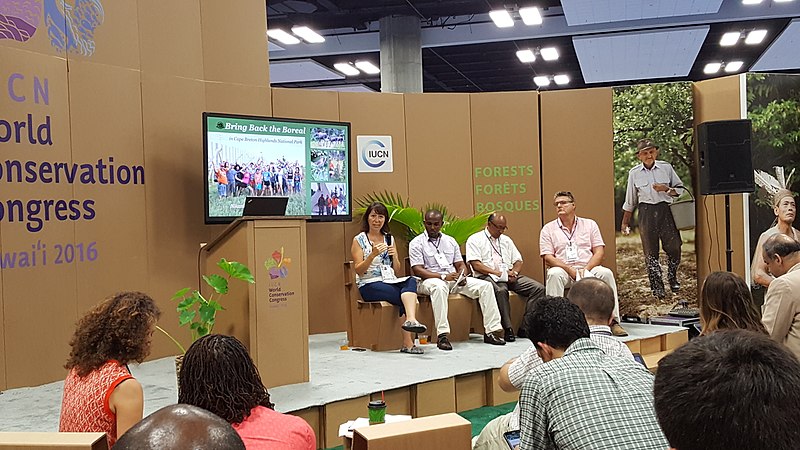 File:-IUCNcongress (28821631813).jpg