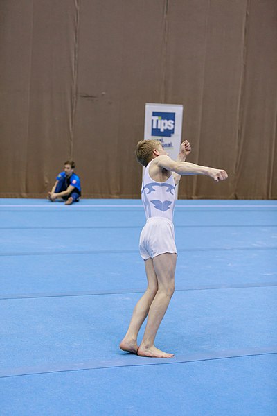 File:15th Austrian Future Cup 2018-11-23 Aidan Jordaan (Norman Seibert) - 02946.jpg