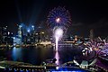 1 singapore national day parade 2011 fireworks.jpg