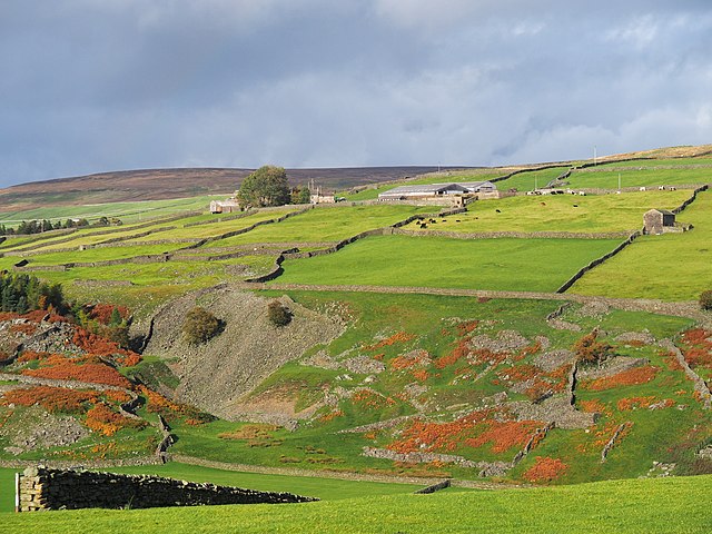File:2013_Yorkshire_Dales_Whaw.jpg