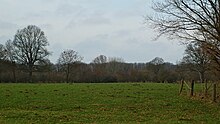 Münstersche Parklandschaft auf dem Truppenübungsplatz Dorbaum