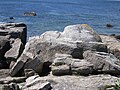 Trégunc (entre la Pointe de la Jument et la plage de Pendruc) : rochers façonnés par l'homme (forme arrondie et base circulaire horizontale), pouvant laisser supposer l'existence à cet endroit d'un ancien lieu de culte préhistorique 4.