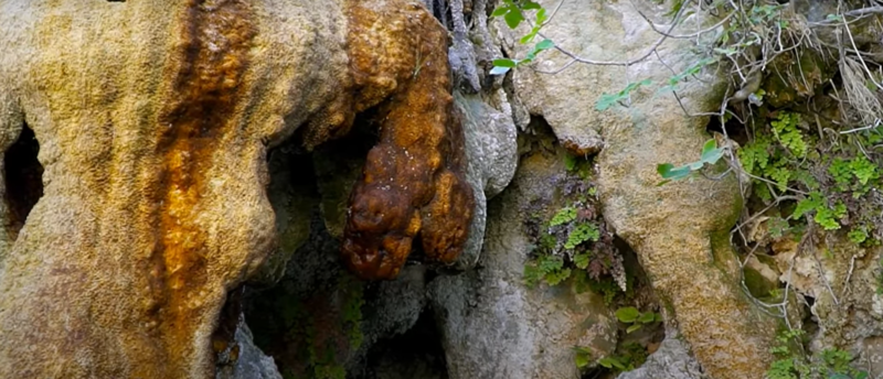 File:Acequia del Toril (Tapetes microbianos).png