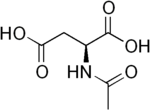 Vignette pour Acide N-acétylaspartique