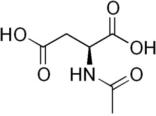 <i>N</i>-Acetylaspartic acid chemical compound