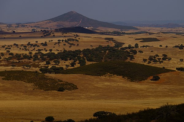 Alentejo experiences prolonged periods without rain, leaving the fields dry as a result