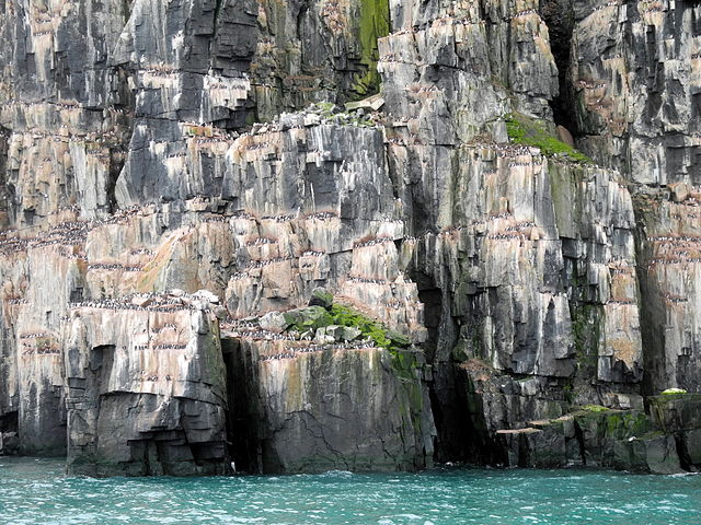 Falaises d'Alkefjellet