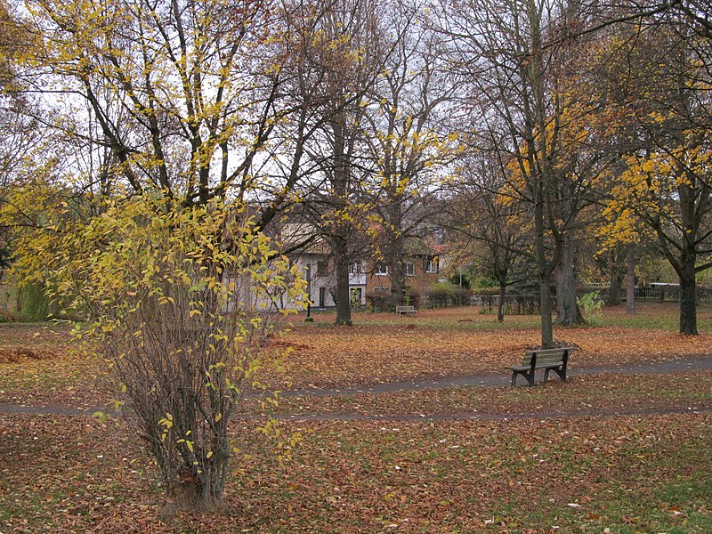 File:Alter Stadtfriedhof, 2, Dransfeld, Landkreis Göttingen.jpg