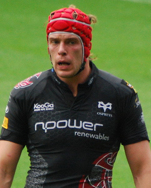 File:Alun Wyn Jones 2008 (cropped).jpg