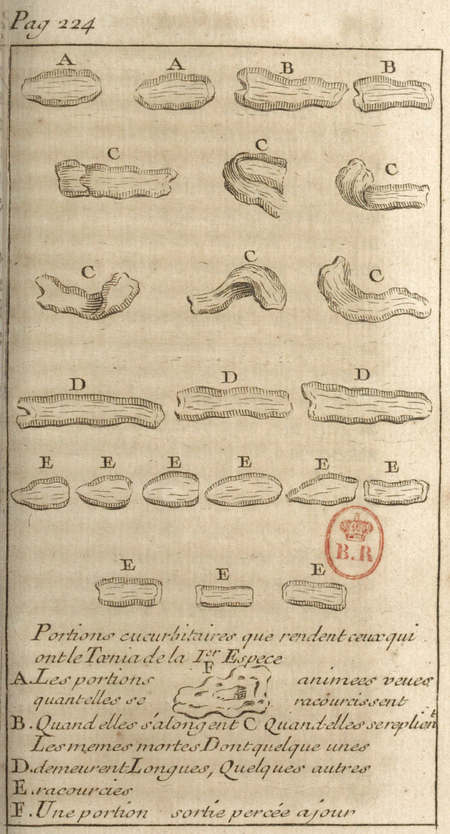 Andry - De la génération des vers (1741), planche p. 224.png