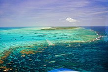 Coral reefs in the British Virgin Islands Anegada Horseshoe Reef.jpg