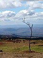 Ankaratra, Madagascar (26002968841).jpg