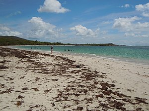 Anse à Prunes