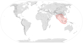 Opis obrazu dystrybucji Apis andreniformis map.svg.