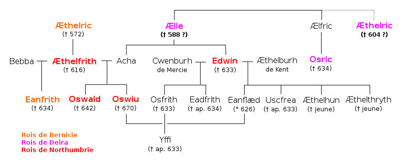 Représentation graphique de la famille d'Edwin