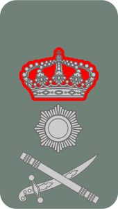 File:Army-LUX-OF-CiC.svg