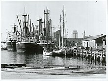 Transmission of R. typhi is common in sea ports, where there is an abundance of rats and their fleas. Auckland City - Harbour Publicity Caption Auckland City Views Big ships, Little ships in port. Photographer G. Riethmaier.jpg