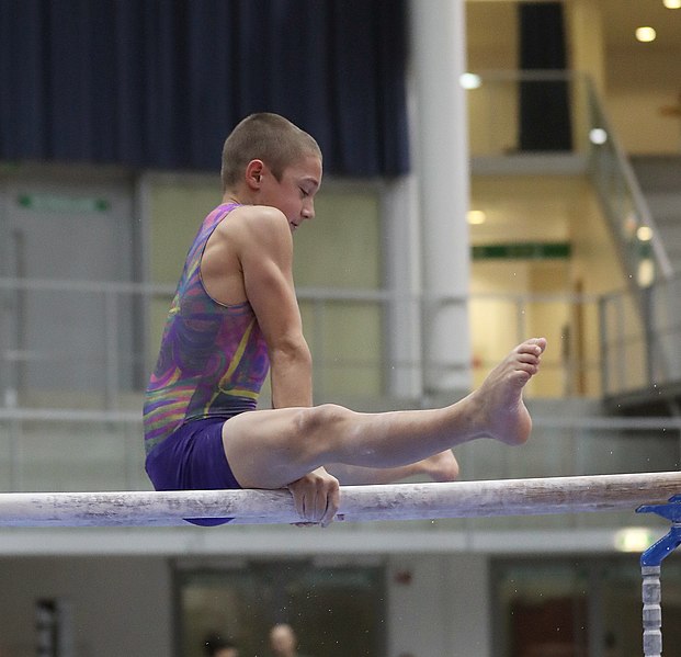 File:Austrian Future Cup 2018-11-23 Training Afternoon Parallel bars (Martin Rulsch) 0227.jpg