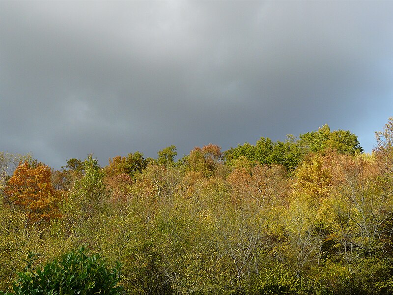 File:Automne à La Forge Montbron.JPG