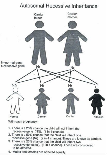 File:Autosomal Recessive Inheritance chart.jpg